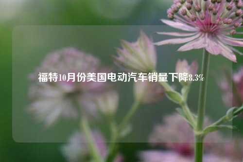 福特10月份美国电动汽车销量下降8.3%