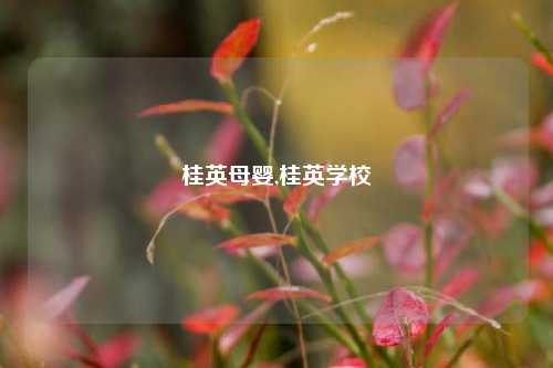 桂英母婴,桂英学校