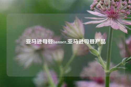 亚马逊母婴banner,亚马逊母婴产品