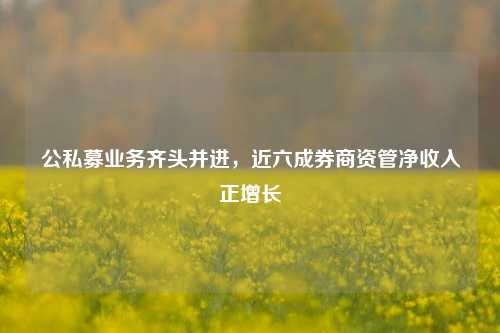 公私募业务齐头并进，近六成券商资管净收入正增长