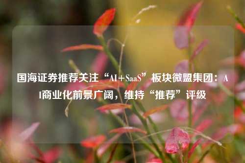 国海证券推荐关注“AI+SaaS”板块微盟集团：AI商业化前景广阔，维持“推荐”评级