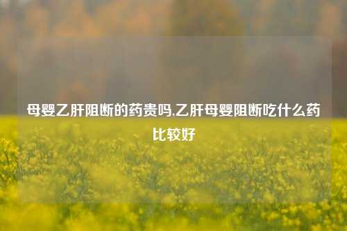 母婴乙肝阻断的药贵吗,乙肝母婴阻断吃什么药比较好