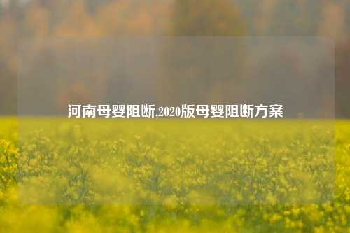 河南母婴阻断,2020版母婴阻断方案