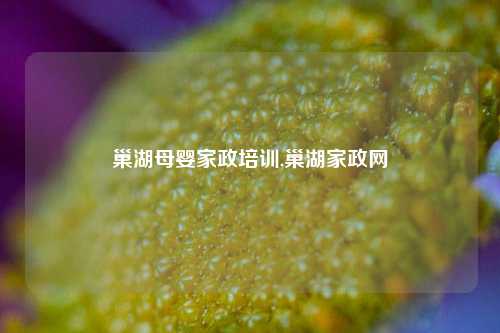 巢湖母婴家政培训,巢湖家政网