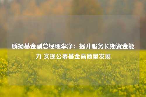 鹏扬基金副总经理李净：提升服务长期资金能力 实现公募基金高质量发展