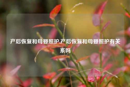 产后恢复和母婴照护,产后恢复和母婴照护有关系吗