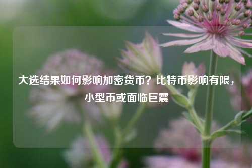 大选结果如何影响加密货币？比特币影响有限，小型币或面临巨震