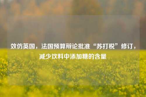 效仿英国，法国预算辩论批准“苏打税”修订，减少饮料中添加糖的含量