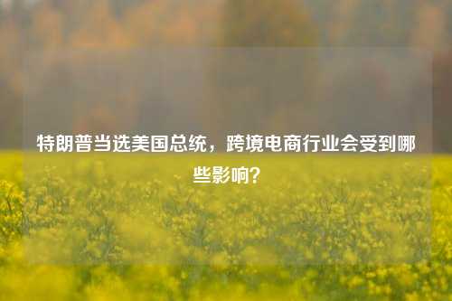 特朗普当选美国总统，跨境电商行业会受到哪些影响？