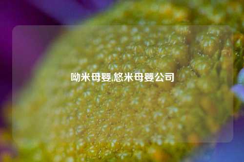 呦米母婴,悠米母婴公司