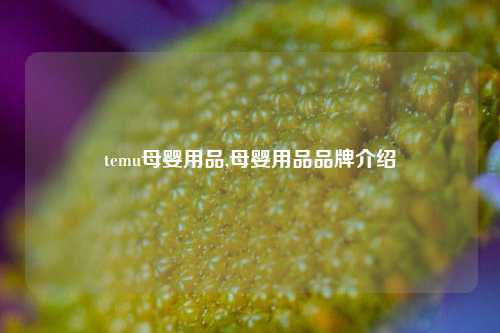 temu母婴用品,母婴用品品牌介绍