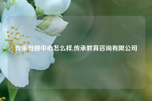 传承母婴中心怎么样,传承教育咨询有限公司