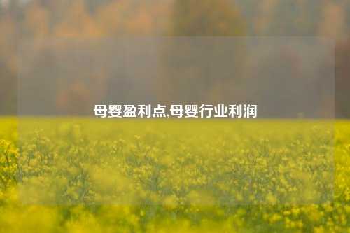 母婴盈利点,母婴行业利润