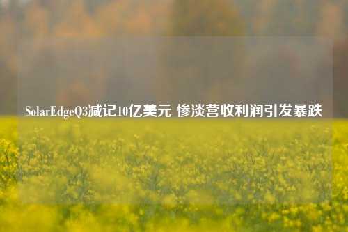 SolarEdgeQ3减记10亿美元 惨淡营收利润引发暴跌