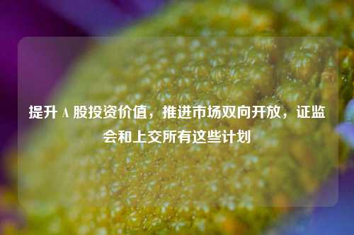 提升Ａ股投资价值，推进市场双向开放，证监会和上交所有这些计划