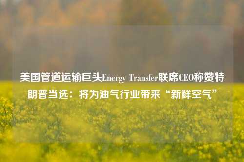 美国管道运输巨头Energy Transfer联席CEO称赞特朗普当选：将为油气行业带来“新鲜空气”