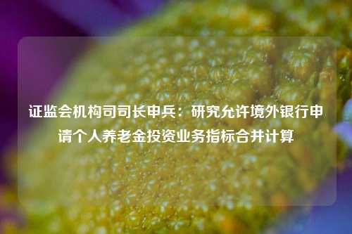 证监会机构司司长申兵：研究允许境外银行申请个人养老金投资业务指标合并计算