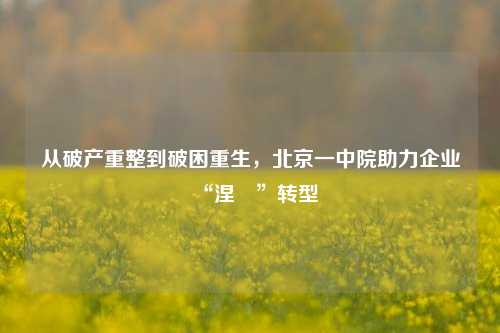 从破产重整到破困重生，北京一中院助力企业“涅槃”转型