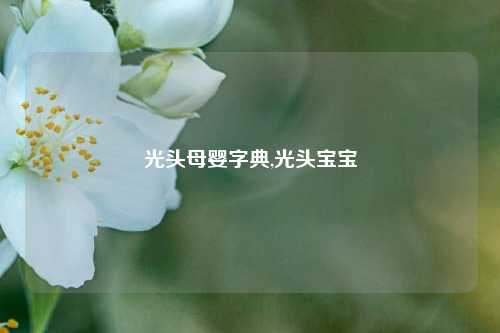 光头母婴字典,光头宝宝