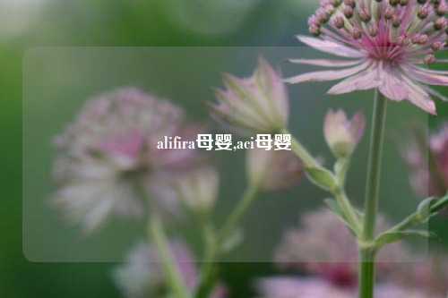 alifira母婴,aci母婴