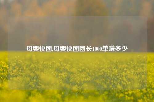 母婴快团,母婴快团团长1000单赚多少