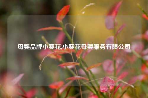 母婴品牌小葵花,小葵花母婴服务有限公司