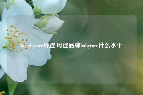 bcbabycare母婴,母婴品牌babycare什么水平