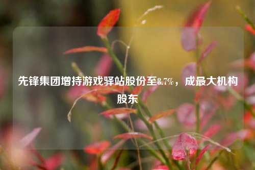 先锋集团增持游戏驿站股份至8.7%，成最大机构股东