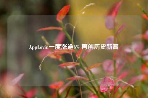 AppLovin一度涨逾6% 再创历史新高