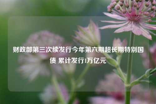 财政部第三次续发行今年第六期超长期特别国债 累计发行1万亿元