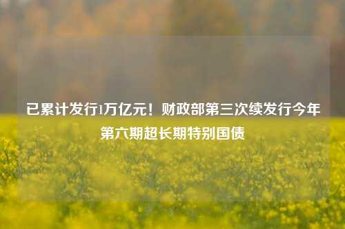 已累计发行1万亿元！财政部第三次续发行今年第六期超长期特别国债