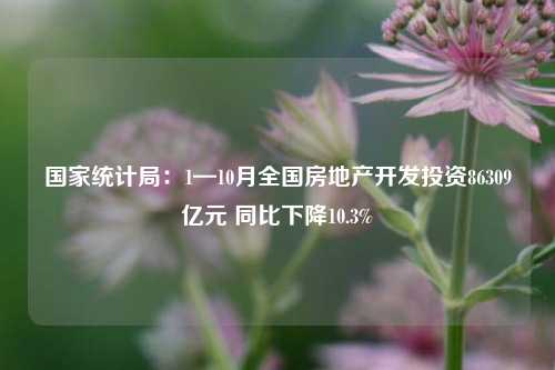 国家统计局：1—10月全国房地产开发投资86309亿元 同比下降10.3%