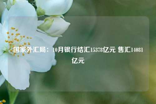 国家外汇局：10月银行结汇15378亿元 售汇14081亿元