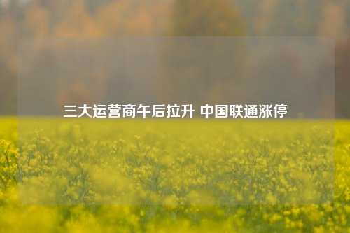 三大运营商午后拉升 中国联通涨停