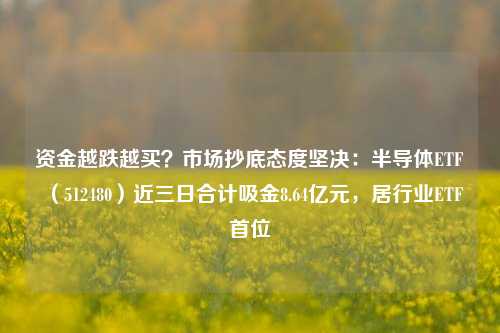 资金越跌越买？市场抄底态度坚决：半导体ETF（512480）近三日合计吸金8.64亿元，居行业ETF首位