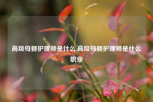 高级母婴护理师是什么,高级母婴护理师是什么职业