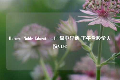 Barnes  Noble Education, Inc盘中异动 下午盘股价大跌5.13%