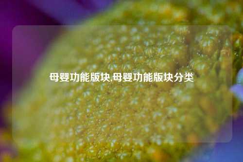 母婴功能版块,母婴功能版块分类