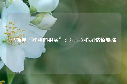 马斯克“胜利的果实”：Space X和xAI估值暴涨