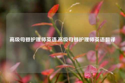 高级母婴护理师英语,高级母婴护理师英语翻译