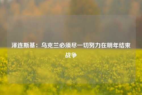 泽连斯基：乌克兰必须尽一切努力在明年结束战争