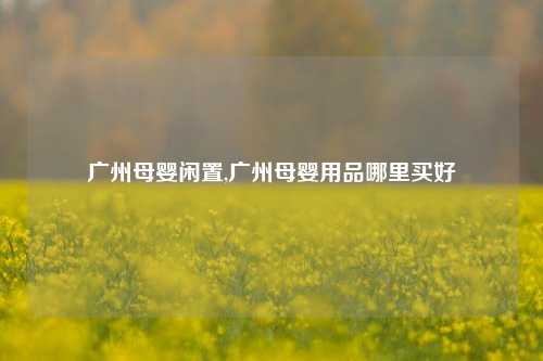 广州母婴闲置,广州母婴用品哪里买好