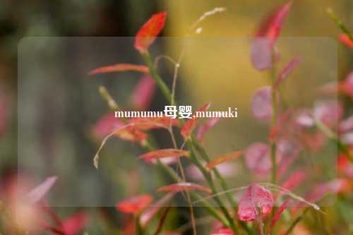 mumumu母婴,mumuki