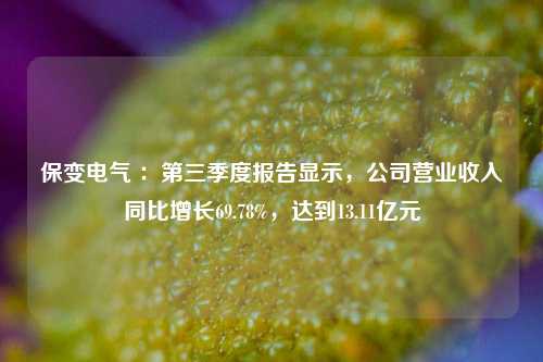 保变电气 ：第三季度报告显示，公司营业收入同比增长69.78%，达到13.11亿元