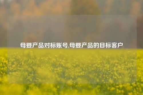 母婴产品对标账号,母婴产品的目标客户