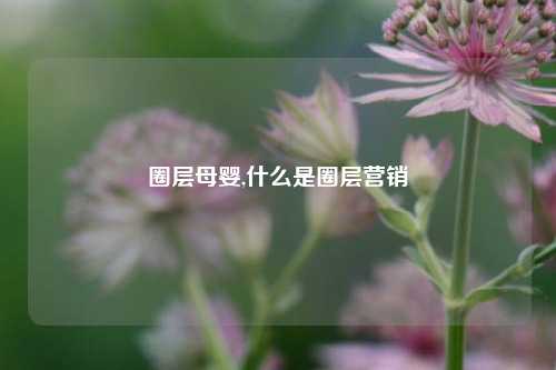 圈层母婴,什么是圈层营销