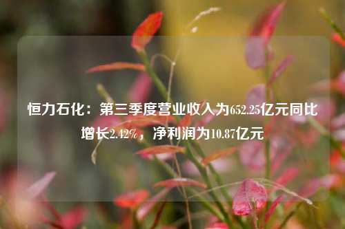 恒力石化：第三季度营业收入为652.25亿元同比增长2.42%，净利润为10.87亿元