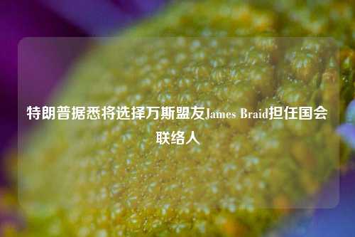 特朗普据悉将选择万斯盟友James Braid担任国会联络人