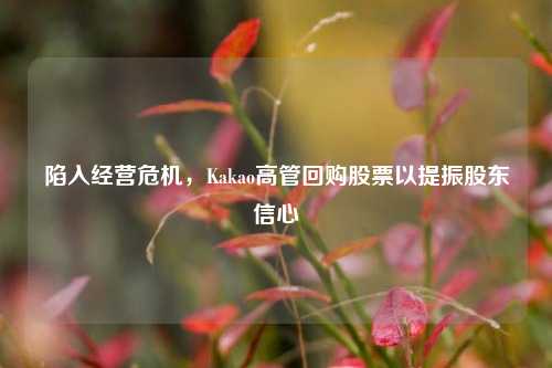 陷入经营危机，Kakao高管回购股票以提振股东信心