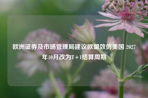 欧洲证券及市场管理局建议欧盟效仿美国 2027年10月改为T+1结算周期